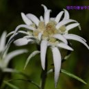 더나은 주간보호센터 이미지