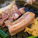 야돼지다 이미지