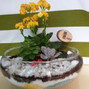 전주덕일초등학교 이미지