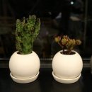 까페월랑(Cafe 월랑) 이미지