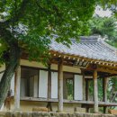 명옥헌원림2(입구) 이미지