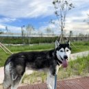 올리스24 명지점 이미지