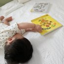 가락그림책 | 돌아기 첫 명화전집 리틀천재 돌잡이 명화, 최애 책이 됐어요