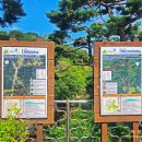 원주굽이길 15코스 백운산자연휴양림길 이미지