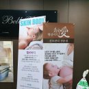 벨르바디 네이버블로그