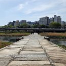 천서목장 이미지