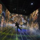 불사조 제5관 | 제주 애월가볼만한곳, 미디어아트전시관 아이바가든 추천