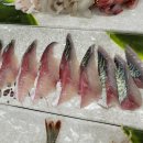 동해센타 이미지