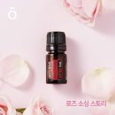 로즈스토리 이미지