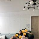 남이섬설1 이미지