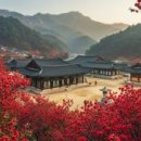 초당요양병원 | [역사 속 전라도] 전라도사찰 특집 ㉘ 강진 백련사와 다산초당