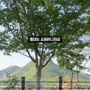 위천수변테마파크 이미지