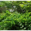 갓골가든 이미지