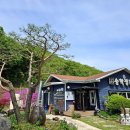 송학정흑염소 이미지