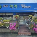 톡톡씨드 이미지