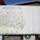 (주)제주미니미니랜드 이미지