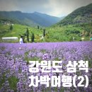 새천년목욕탕 | 강원도 삼척 동해여행 (2) 맹방해수욕장 차박 동해 무릉별유천지 라벤더 카페 맛집