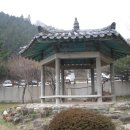 너릿재구도로 Daum카페