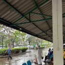 26230-66-01-034 | [여행] 태국 방콕에서 PCR, 신속항원(ATK) 검사 방법(출국 48시간 이내 필수 펌)