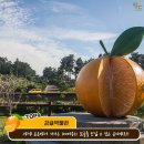신풍리마을 이미지