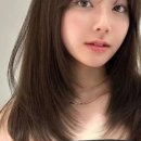머리하는진
