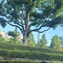 청명고삼거리 이미지