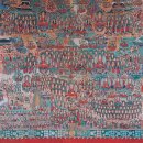 초월약초 이미지