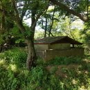 곰치농장 이미지