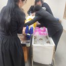 마산영생원 | 에스엠지연세병원장례식장 마산영생원에 모시고 묵례로 작별인사