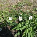 동서농장 이미지