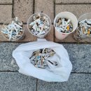 초읍중학교 이미지