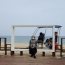11월여행 6박7일 후기를 남기며...