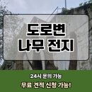 아래짓들 도로변 | 도로변 나무 전지 작업 업체 가지치기 비용 가격 문의