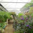 참샘 농원 이미지