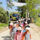 4월 ＜도시농부 소풍 자연체험학교＞ 유기농쌈채소 체험 이미지