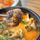 목포 순대국밥 맛집 &#39;한양순대&#39; 찹쌀순대 국밥 내돈내산 솔직후기