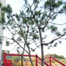 언덕위에돈까스 이미지