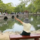 21 | 21세기 대군부인 촬영지｜남원 광한루 완벽 방문 후기 (아이와 가볼만한 곳)