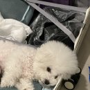 뉴카지노PC방 | [그낭토크]11-12월 다이오리 /크리스마스 전야제