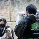 그린약품 이미지