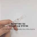 미엘동물병원 이미지