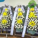 대구의료원 국화원 이미지