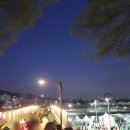 중랑천 뚝방길 (옥외20) | 2026 동대문구 트로트 봄꽃축제 이찬원 공연 직접 다녀온 후기 | 먹거리 날씨 꿀팁까지