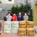 더조경 이미지