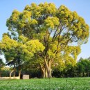 청하당한의원 이미지