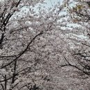 서종의 아침 이미지