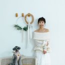 소울펫