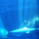 가족나들이 이미지