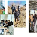행정사법인 항해 네이버블로그