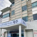 사라봉 다목적 체육관 | 제주시국민체육센터 수영장 원정수영 후기